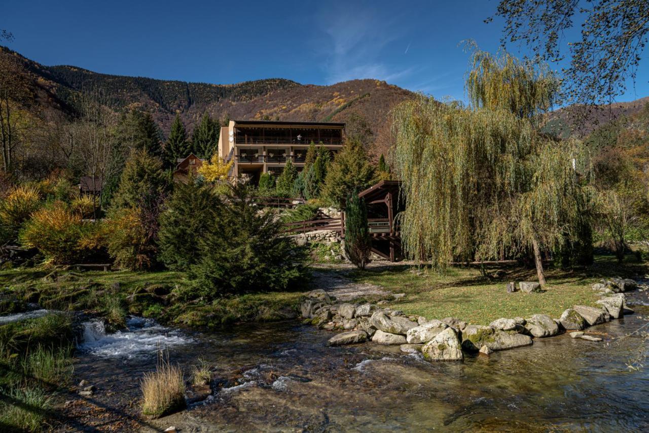 Pensiunea Retezat Riu de Mori Bagian luar foto