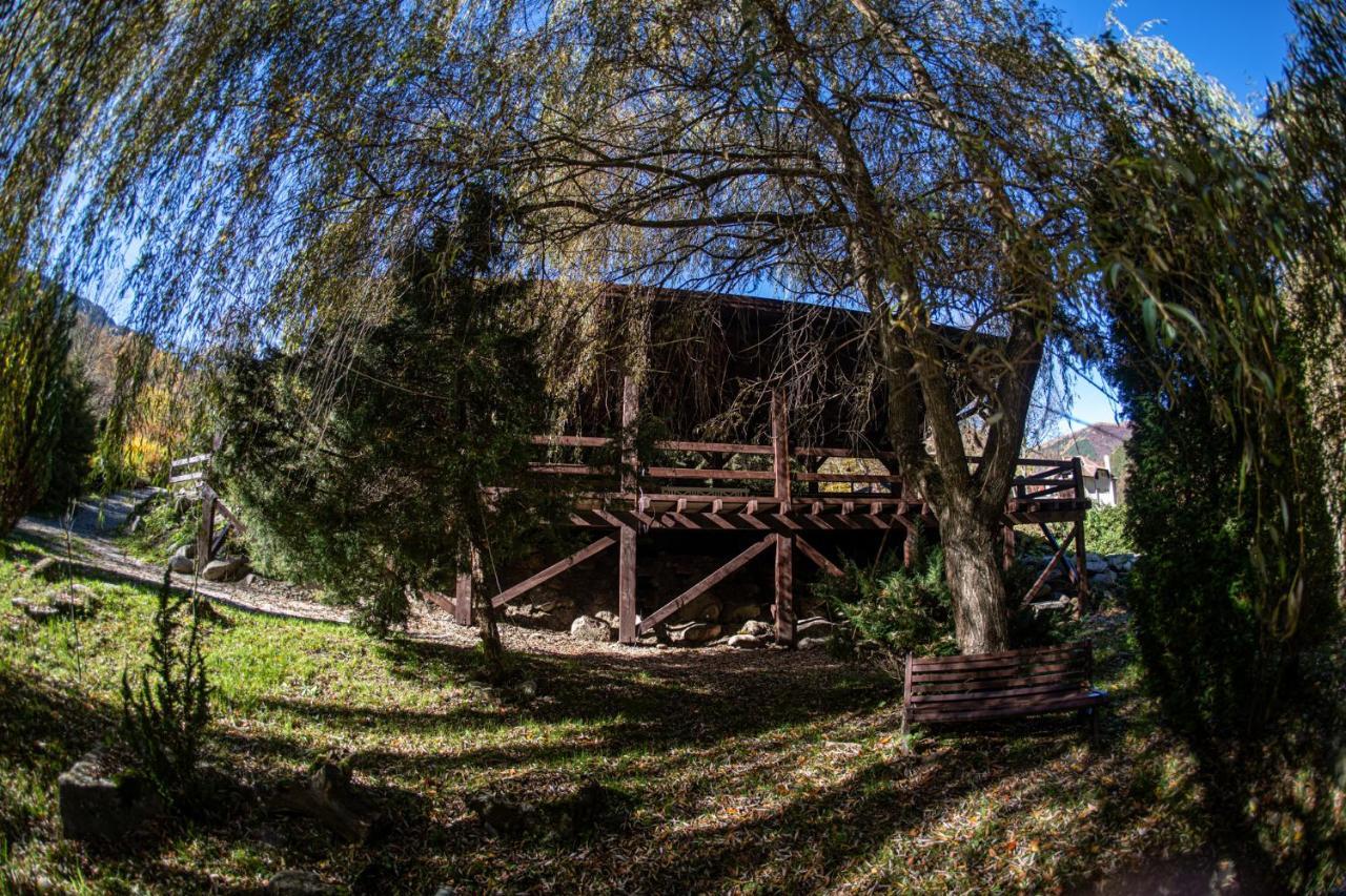 Pensiunea Retezat Riu de Mori Bagian luar foto